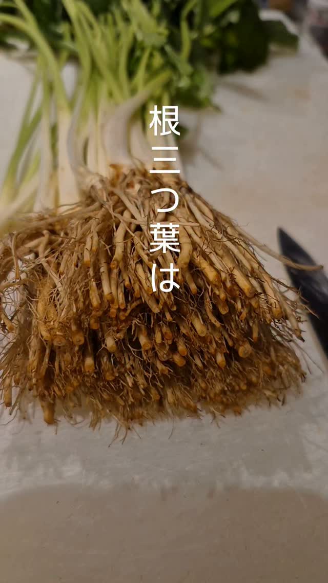 浦和の小さな和食店
季節の食材をひと味違った組み合わせで。
コースと好きな料理を選べるアラカルト
ご予約はこちらからどうぞ
https://edisone.jp/agarifuji/
料理とお酒 あがりふじ
浦和区東仲町15-16 ,FourLeaf ,1階
定休日 月曜
営業時間
12:00〜23:00
※最終入店21:00
(12:00~17:00は2日前までにご予約お願いします)